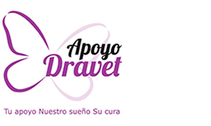 Apoyo Dravet